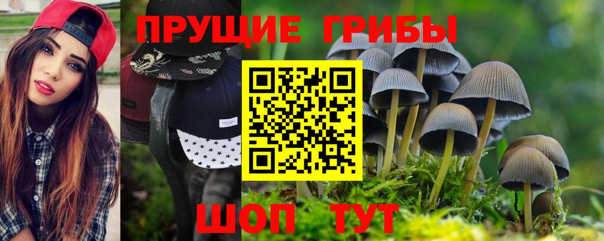 Усть-Илимск  Галлюциногенные грибы мицелий  Вход с VPN  Галлюциногенные грибы мицелий 